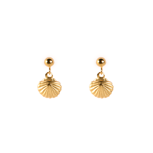 smonty shell studs